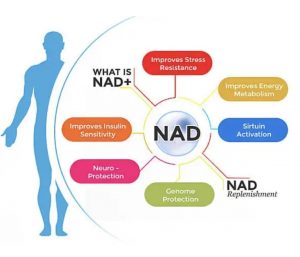 NAD+ IV - Radiant Integrative Health