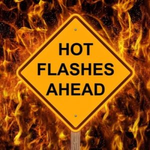 Read more about the article What Happens During Hot Flashes