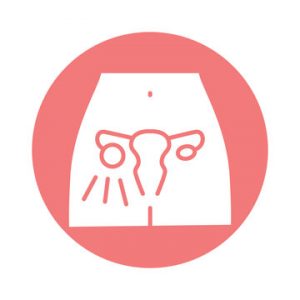 Read more about the article Polycystic Ovary Syndrome Information and Support