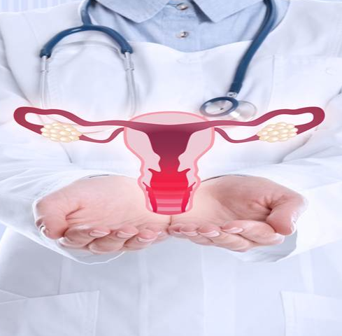 The Vaginal Microbiome And How It Affects Overall Health