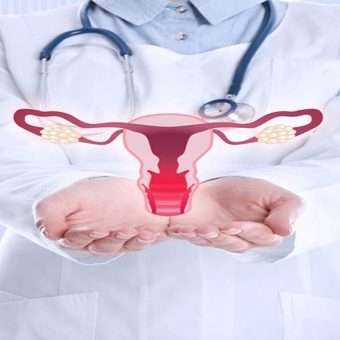 The Vaginal Microbiome And How It Affects Overall Health