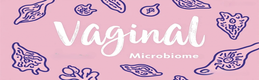 Vaginal Microbiome